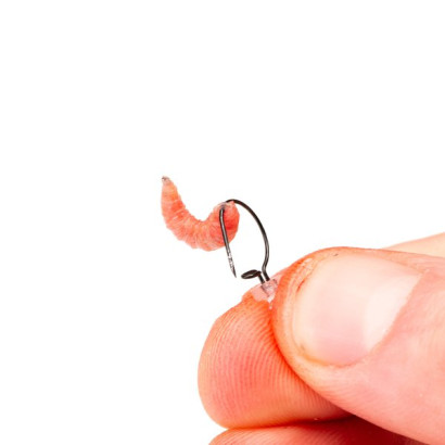NASH MAGGOT SCREW