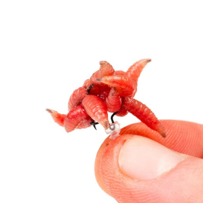 NASH MAGGOT SCREW