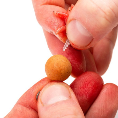 NASH MAGGOT SCREW