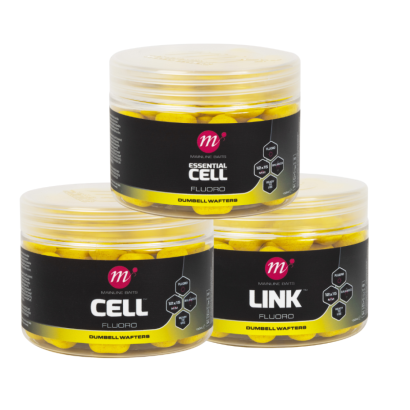 MAINLINE YELLOW FLUORO DUMBELLS WAFTERS